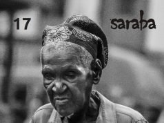 #17, Survival Saraba_17_cover_001