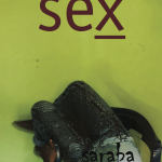 Saraba_11_Sex